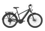 Gazelle Medeo T10