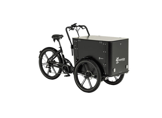 Cargobike Delight Box