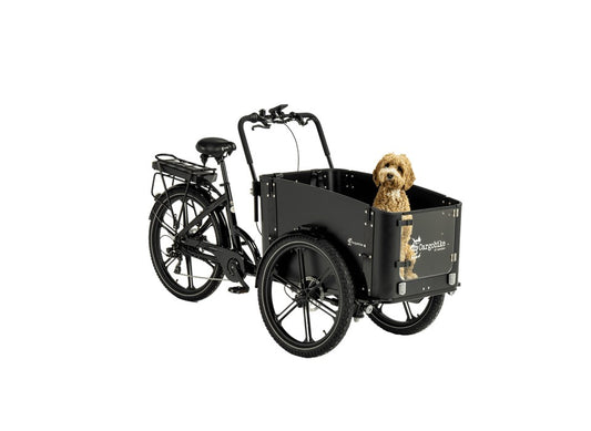 Cargobike Flex Dog